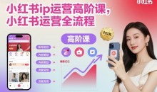 小红书IP运营高阶课,小红书运营全流程