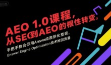 大卫AEO1.0课程,从SEO到AE0的基命性转变,手把手教会你用AnswerEngineOptimization技术抢回流量