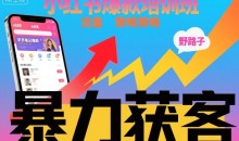 小红书爆款培训班,小红书获客野路子流量打法,暴力持续获客