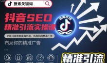抖音SEO精准引流实操课,抓住抖音搜索蓝海市场,布局你的精准广告