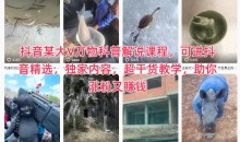抖音某大V万物科普解说课程:实战涨粉变现攻略,独家干货教学指南