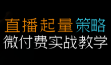 半野老师·直播带货起量与微付费必学课视频号(更新2026)