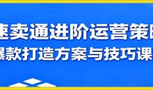 速卖通进阶运营策略,爆款打造方案与技巧课程