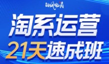 白凤电商·淘系运营21天速成班(更新11月)0基础淘系运营课