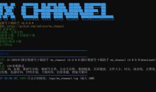 微信视频号下载助手工具wx_channel v5.0.0绿色版
