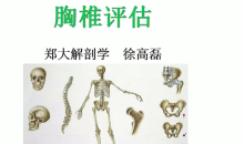 郑大解剖学人体姿势评估与解剖学分析(进阶)徐高磊