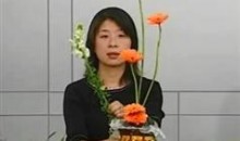 插花技巧自学视频课程合集