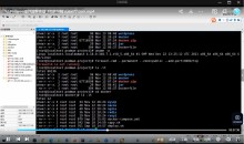 Podman容器化技术从入门到实战课程(价值129元)