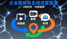 短视频全域商业模式,企业新媒体全域流量掘金,3域协同,共振破屏,短视频-直播-私域-地域