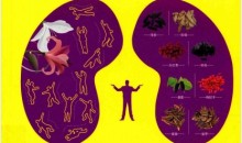 《肾好才是硬道理》中年男性的健康宝典