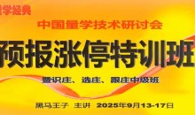 2025年量学预报涨停特训班视频课程文档指标【黑马王子】