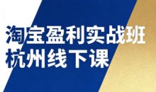 爱上黄昏淘宝盈利实战班杭州线下课12月26-28日(音频+字幕)