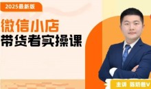 陈奶爸2025新版原创微信小店带货者实操课,教你微信开小店