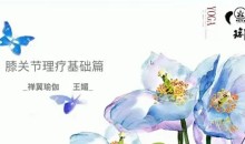 王媚_疗愈膝关节疼痛(基础篇)