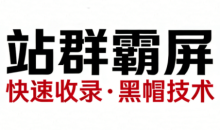 SEO野路子实战全集:快速收录、站群霸屏、黑帽技术(更新)