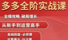 大炮·拼多多全阶实战课程(更新2026)