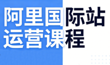 张国儒·阿里国际站运营课程(更新2026)
