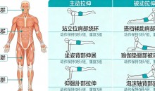 全身肌群—主动被动松解拉伸