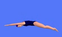 【荻原智子】游泳教学(仰泳、爬泳、蛙泳、蝶泳)视频课程