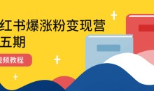 小红书爆涨粉变现营(第五期)