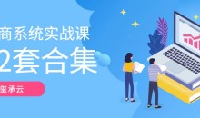 玺承云-电商系统实战课大合集(32套课程合集)