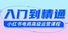 小红书电商高级运营课程(从入门到精通)
