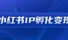 【厦九九】某收费培训-小红书IP孵化变现