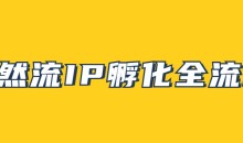 自然流IP孵化,系统掌握IP孵化全流程