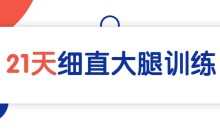 麦大湿《细直大腿》21天训练课程