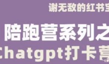 谢无敌ChatGPT打卡营,教你更好地使用ChatGPT来提高工作效率