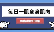 每日一肌全身肌肉疼痛讲解(100集视频)