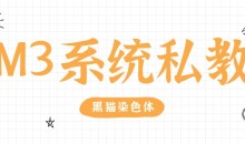 黑猫染色体《终身制M3系统私教内部课程》