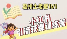 小红书1对1引流获客训练营:账号、内容、引流、成交(价值3999元)