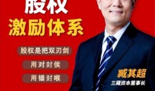 臧其超:股权激励体系(爆款视频课)