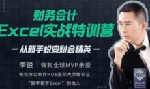 财务会计Excel实战特训营 | 从新手蜕变财会精英