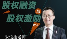 宋俊生《股权融资与股权激励》