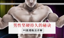 男性坚挺持久的秘诀——PC肌训练法