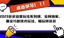 2023拼多多运营玩法系列课,全网独家,最全15套技术玩法,畅玩拼多多