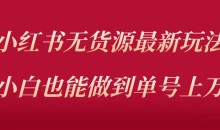 小红书无货源最新螺旋起号玩法,电商小白也能做到单号上万(价值3980元)