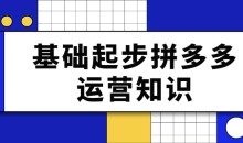纪主任 基础起步拼多多运营知识一手掌握,价值499元