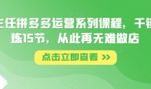 纪主任拼多多运营系列课程,千锤百炼15节,从此再无难做店