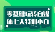 七天特训小白零基础玩转自媒体
