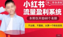 小红书流量盈利系统(第二期急速版),不出境,不露脸,轻松把流量变成米