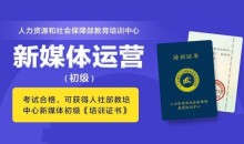 馒头新媒体运营证书班(完结)