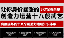 让你的身价暴涨的创造力运营十八般武艺 高度提炼的18个创造力底层知识体系