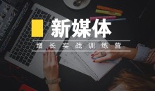 新媒体高阶运营增长实战训练