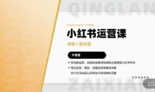 许筐筺·小红书运营课,笔记运营、规则、店铺运营等模块讲解,学会自己独立运营小红书账号