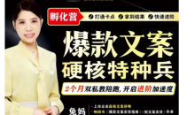 兔妈『爆款文案硬核特种兵孵化营』(超硬核)