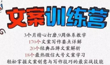 龙小天《文案训练营》全面系统解决文案写作难题