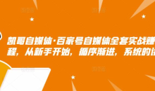 凯哥自媒体·百家号自媒体全套实战赚钱教程,从新手开始,循序渐进,系统的讲解